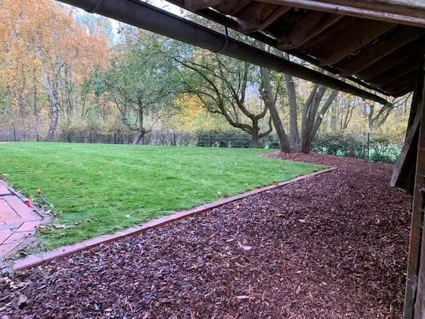 Gartenansicht im Herbst