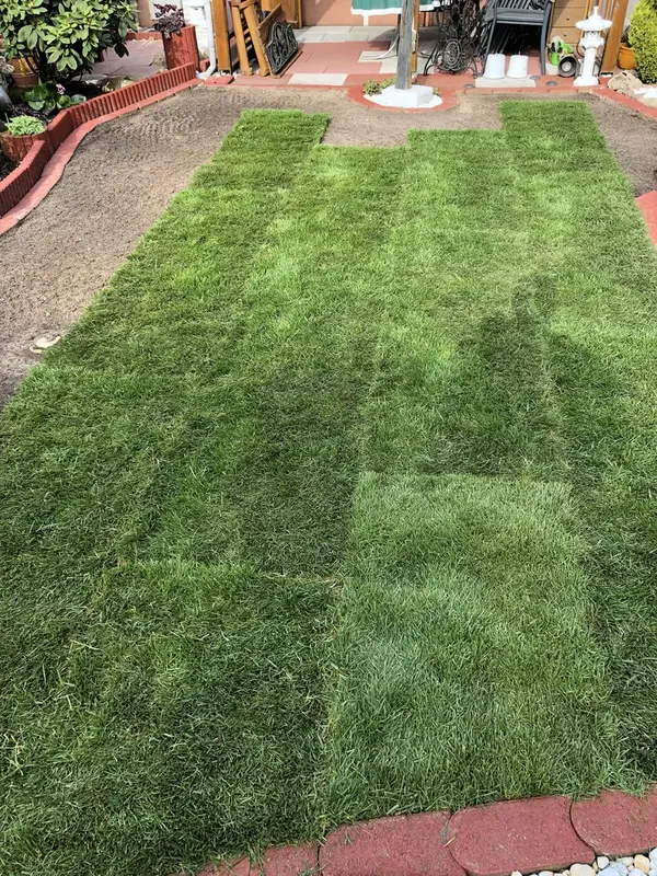 Verlegen von Rollrasen