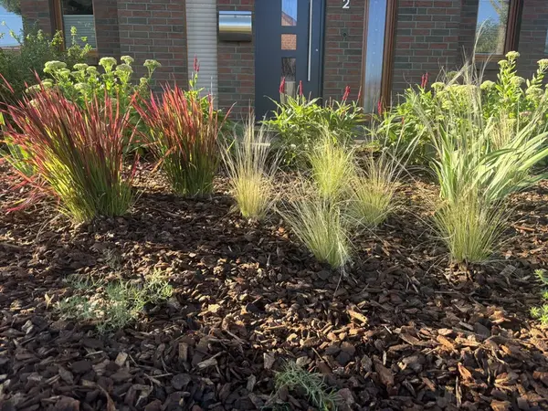 Ziergräser im Mulchbeet