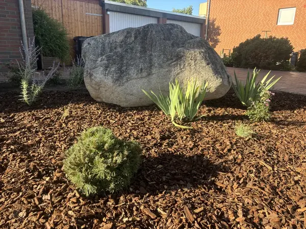 Solitärstein in der Anlage