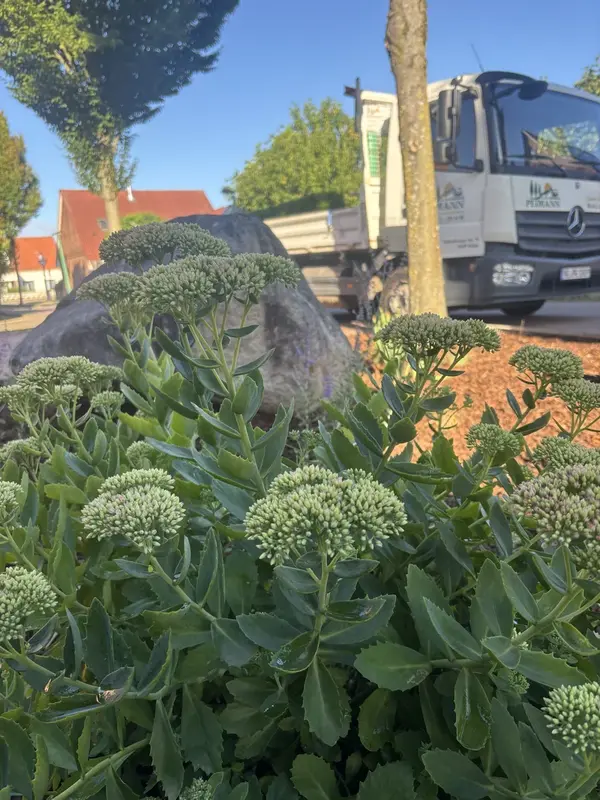 Blüten im Vordergrund