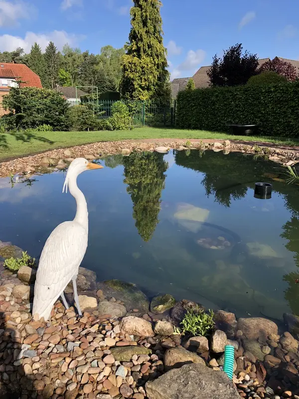 Naturnaher Gartenteich