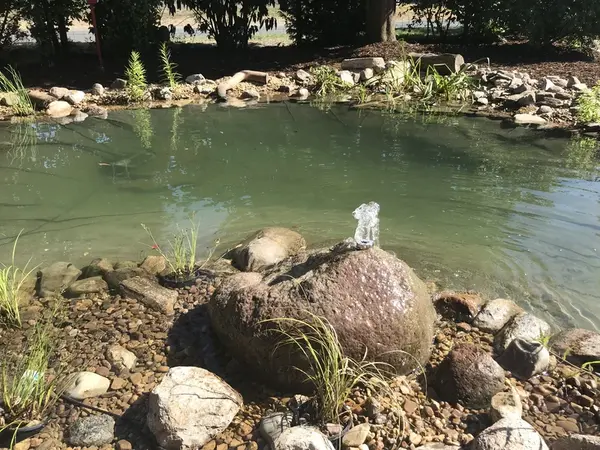 Sprudelnder Quellstein