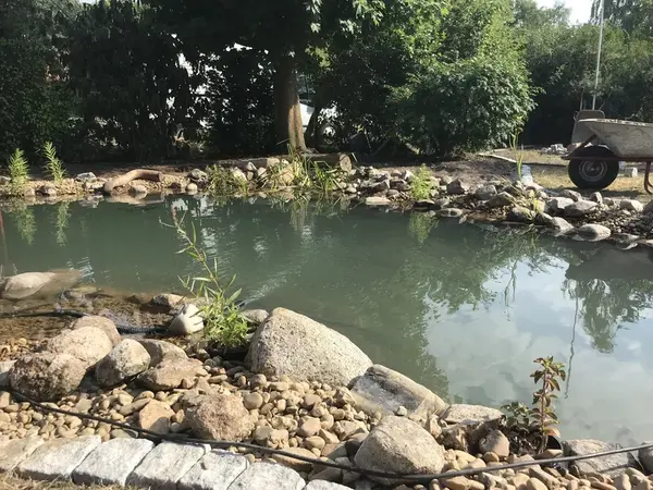 Erdbewegungen am Wasser